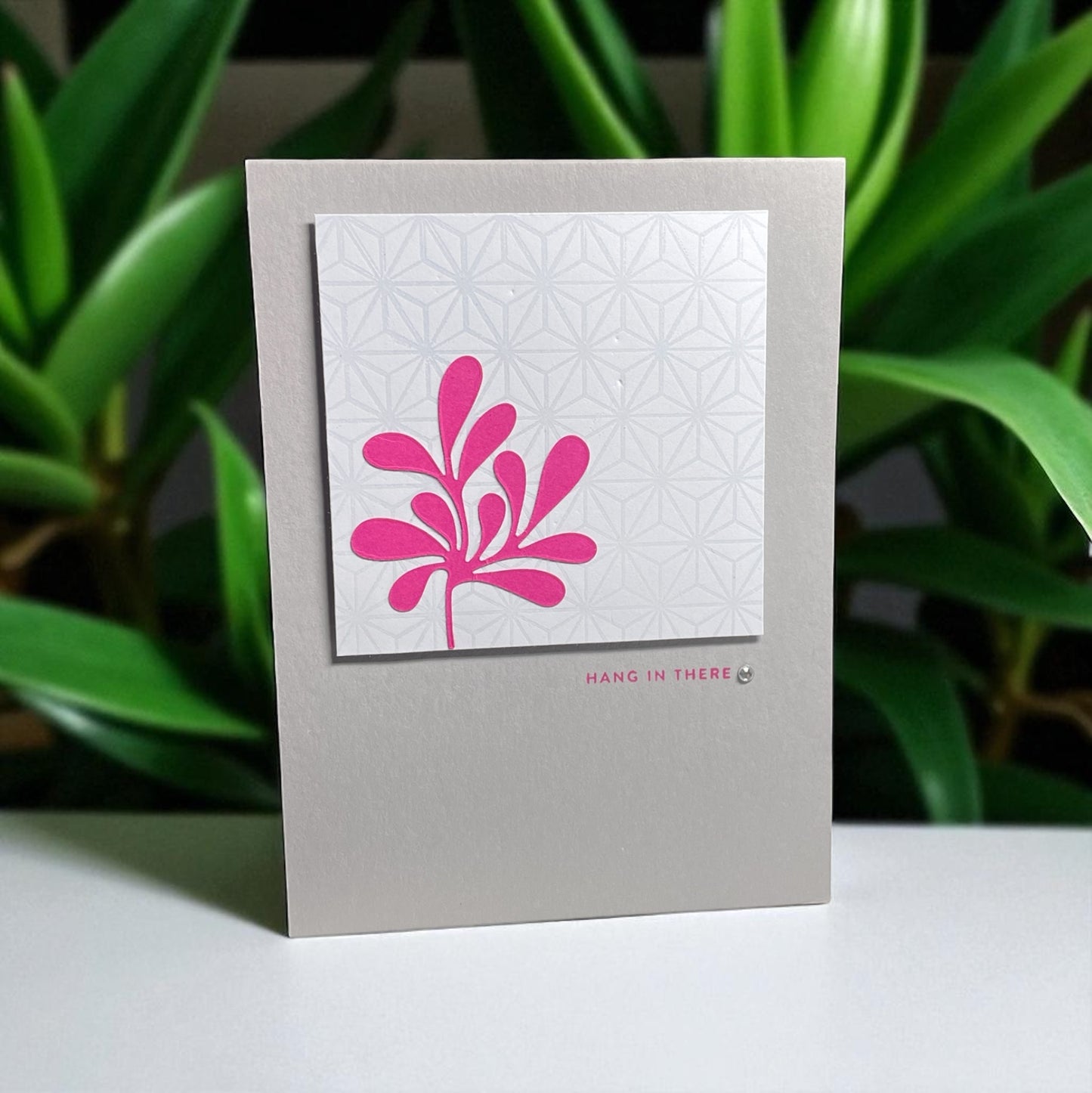 Greeting card with pink floral design and 'Hang in there' text on a textured gray background.